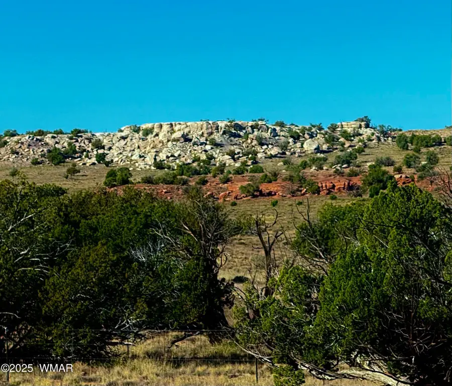 228 County Rd N9328, Concho, AZ 85924 - Image #2