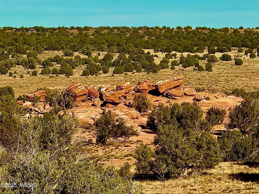228 County Rd N9328, Concho, AZ 85924 - Image #3