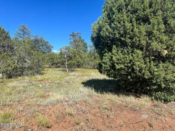 5020 Bison Trail, Lakeside, AZ 85929