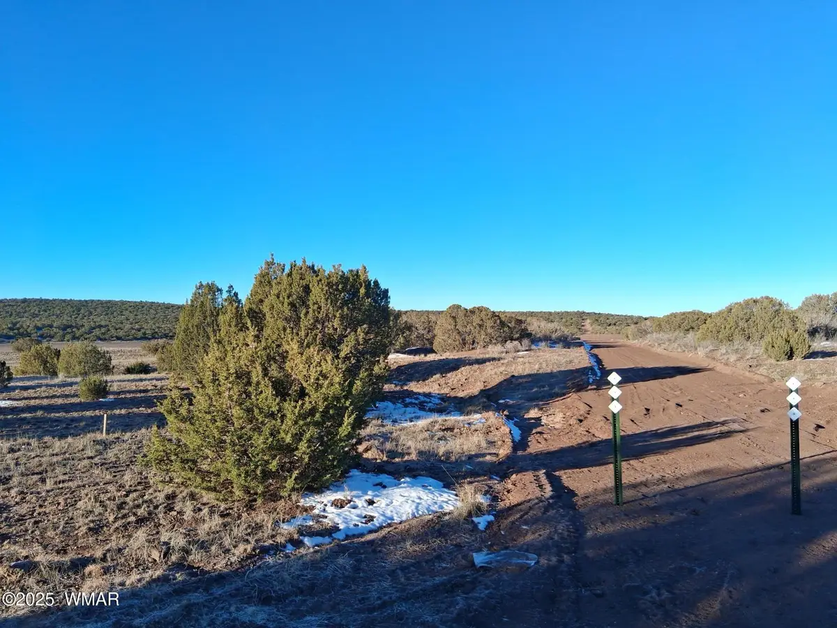 286 County Road, Concho, AZ 85924 - Image #1