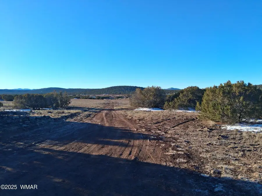 286 County Road, Concho, AZ 85924 - Image #3
