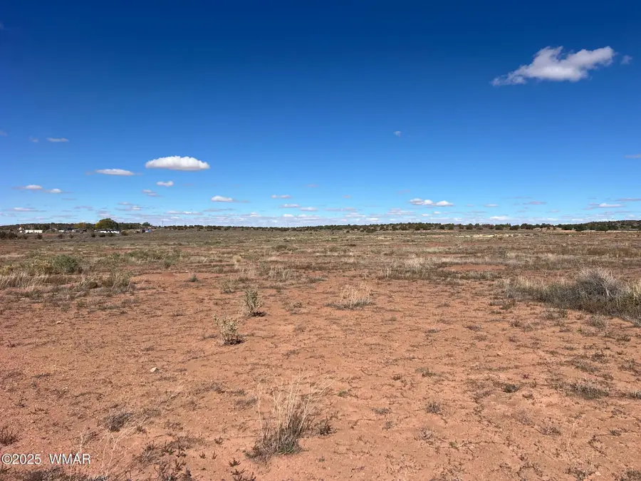 000 S Bourdon Ranch, Taylor, AZ 85939 - Image #3