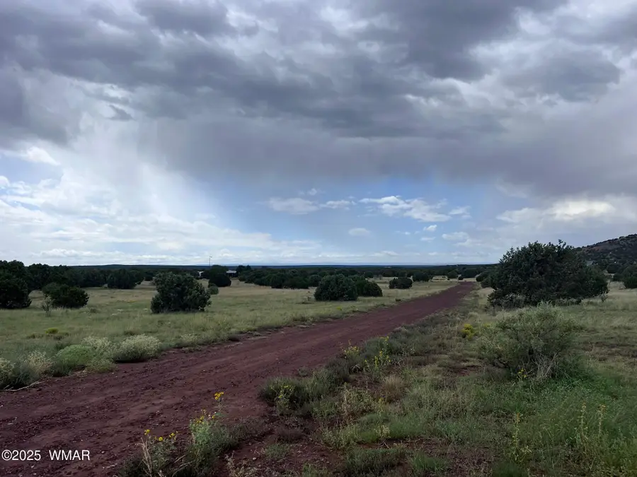 460 & 461 Cr8301, Concho, AZ 85924 - Image #3