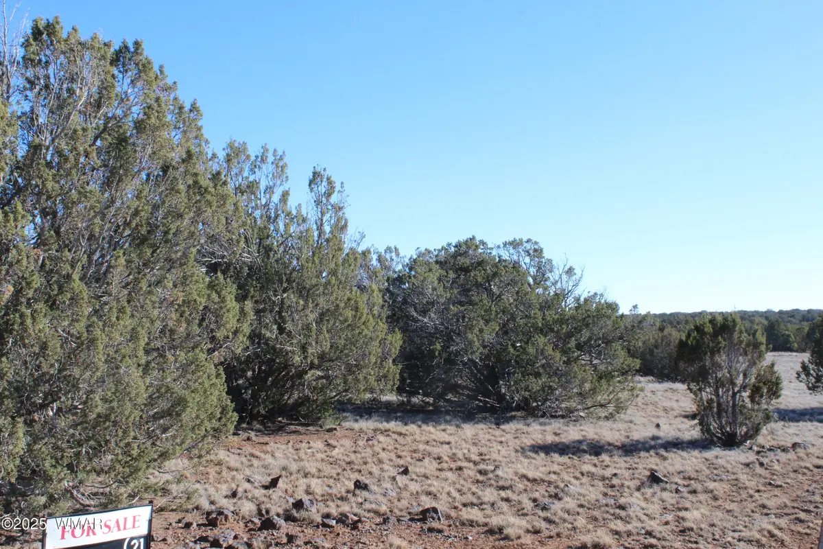 Lot 163B Kb Ranch Road, Show Low, AZ 85901 - Image #1