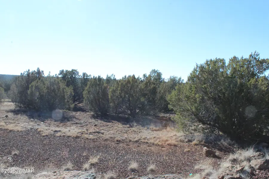 Lot 163B Kb Ranch Road, Show Low, AZ 85901 - Image #2