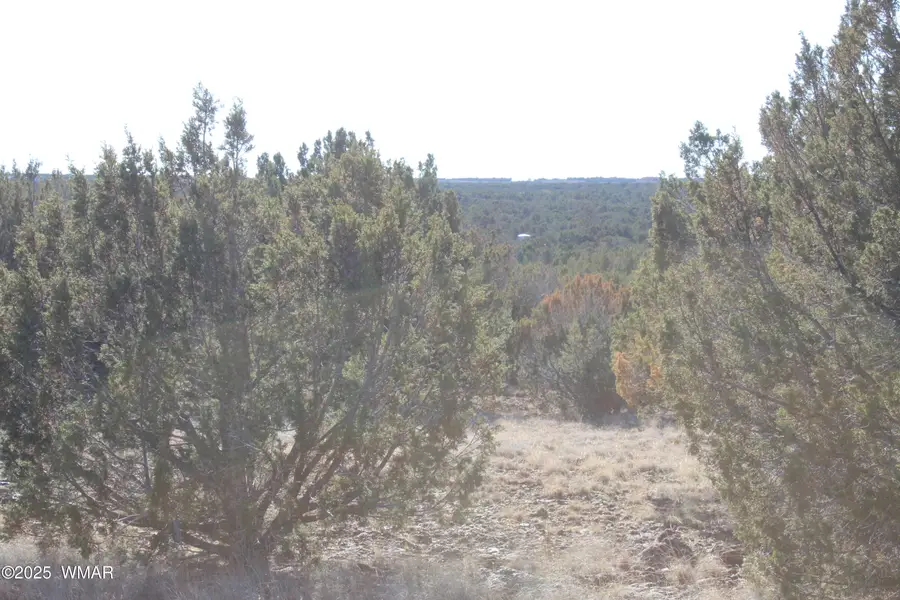 Lot 163B Kb Ranch Road, Show Low, AZ 85901 - Image #3