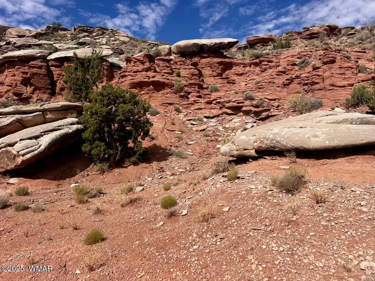 2345 W Ridgeview Ranch Drive, Snowflake, AZ 85937 - Image #1