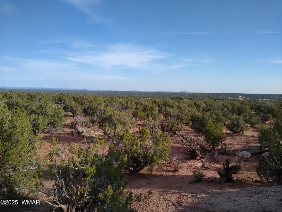 8938 Buffalo Ridge Lane, White Mountain Lake, AZ 85912 - Image #2