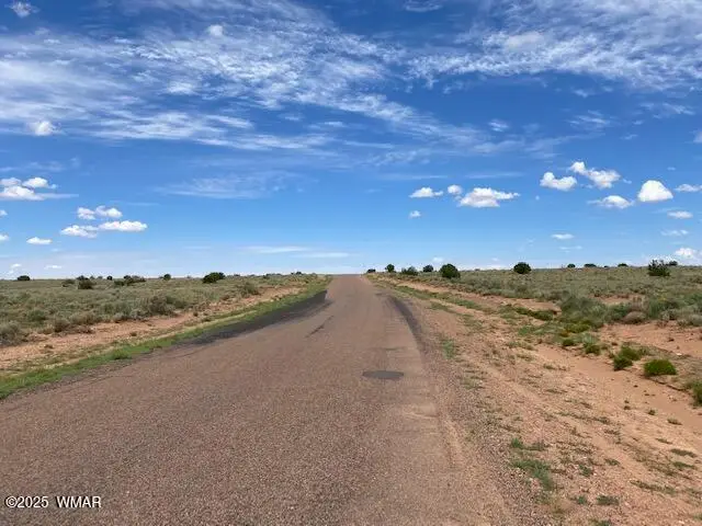 5175 Old Woodruff Road, Snowflake, AZ 85937 - Image #2