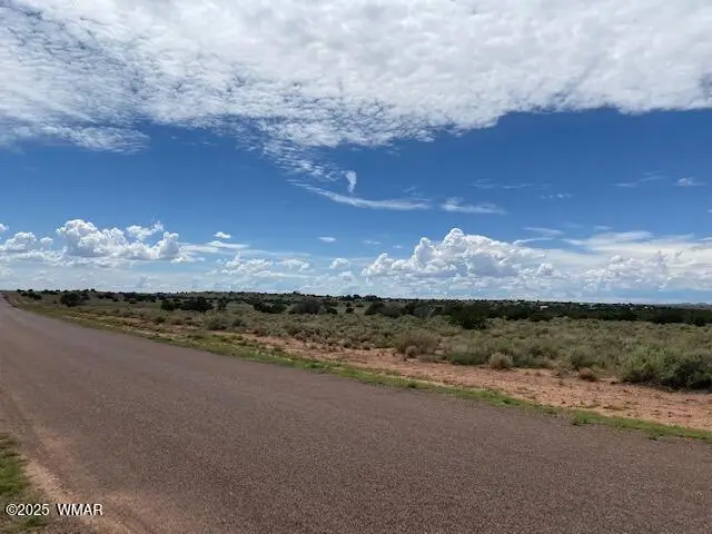 5175 Old Woodruff Road, Snowflake, AZ 85937 - Image #3