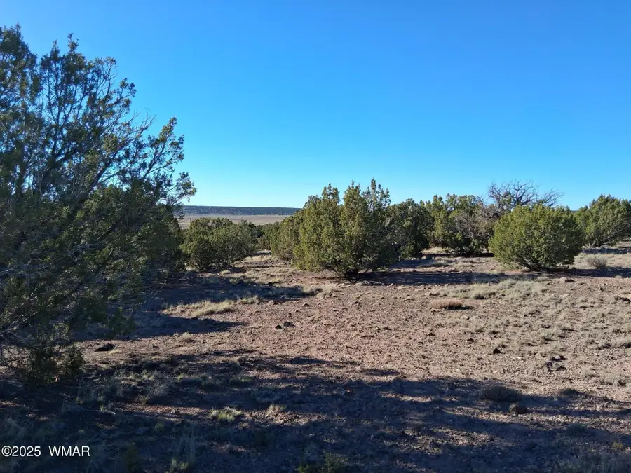 3 N 8716, Concho, AZ 85924 - Image #2