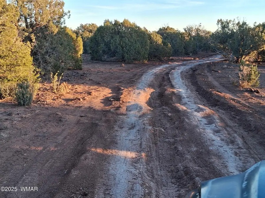 3 N 8716, Concho, AZ 85924 - Image #3