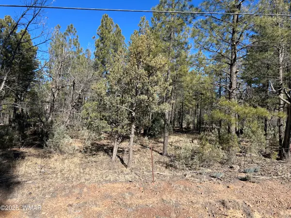 TBD- Y Hilltop, Lakeside, AZ 85929