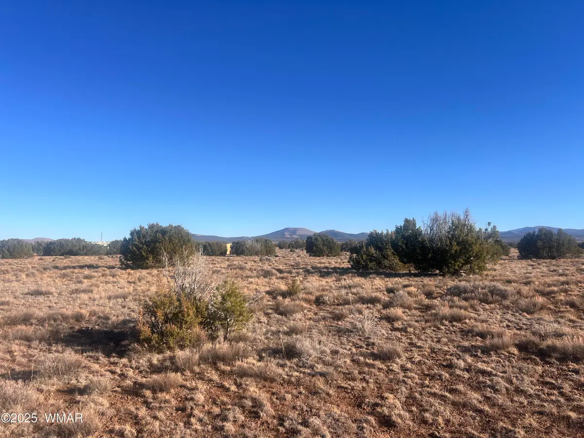 TBD Tbd, Vernon, AZ 85940 - Image #1