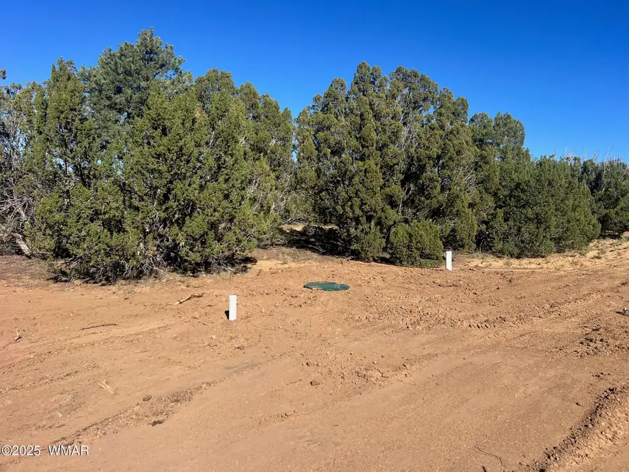 96 Cr3041, Concho, AZ 85924 - #2