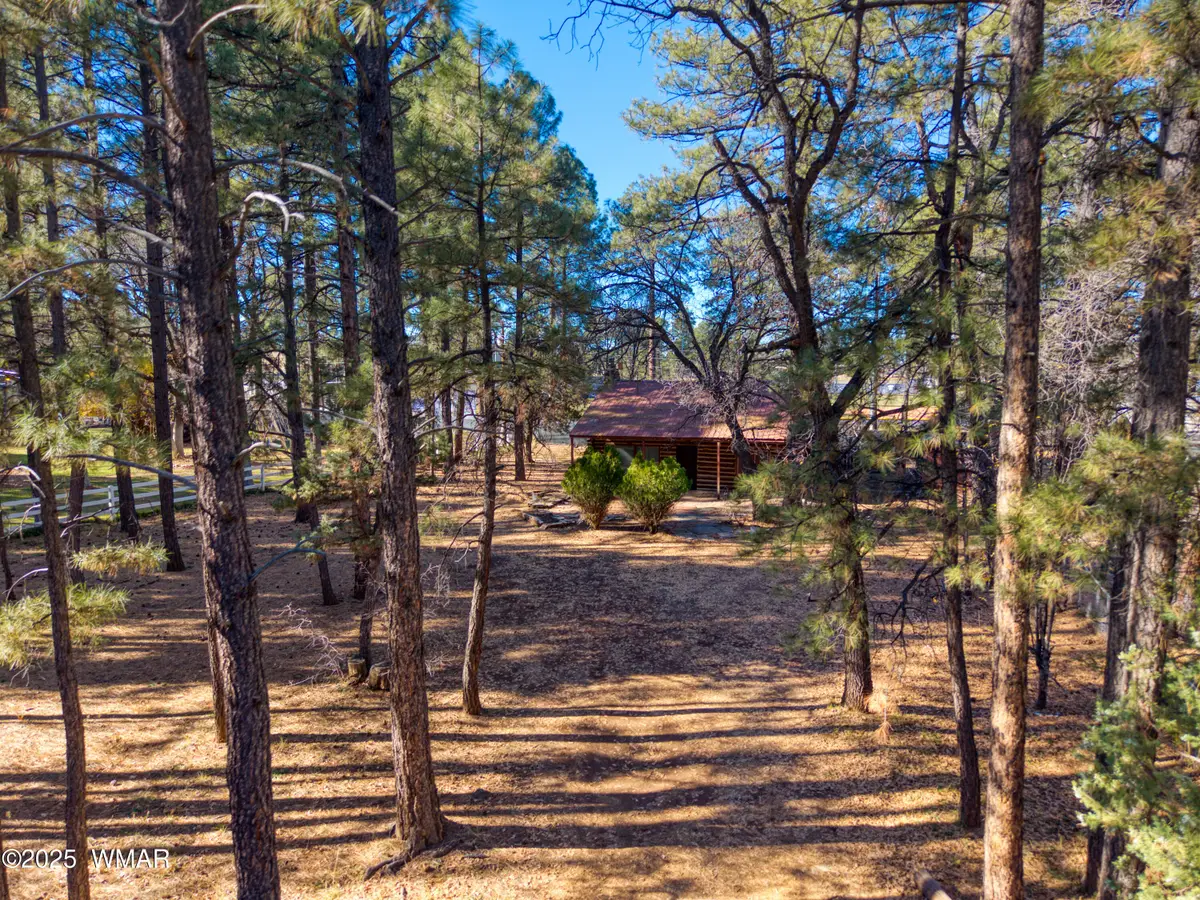 978 Moonridge Drive Drive, Lakeside, AZ 85929 - Image #1