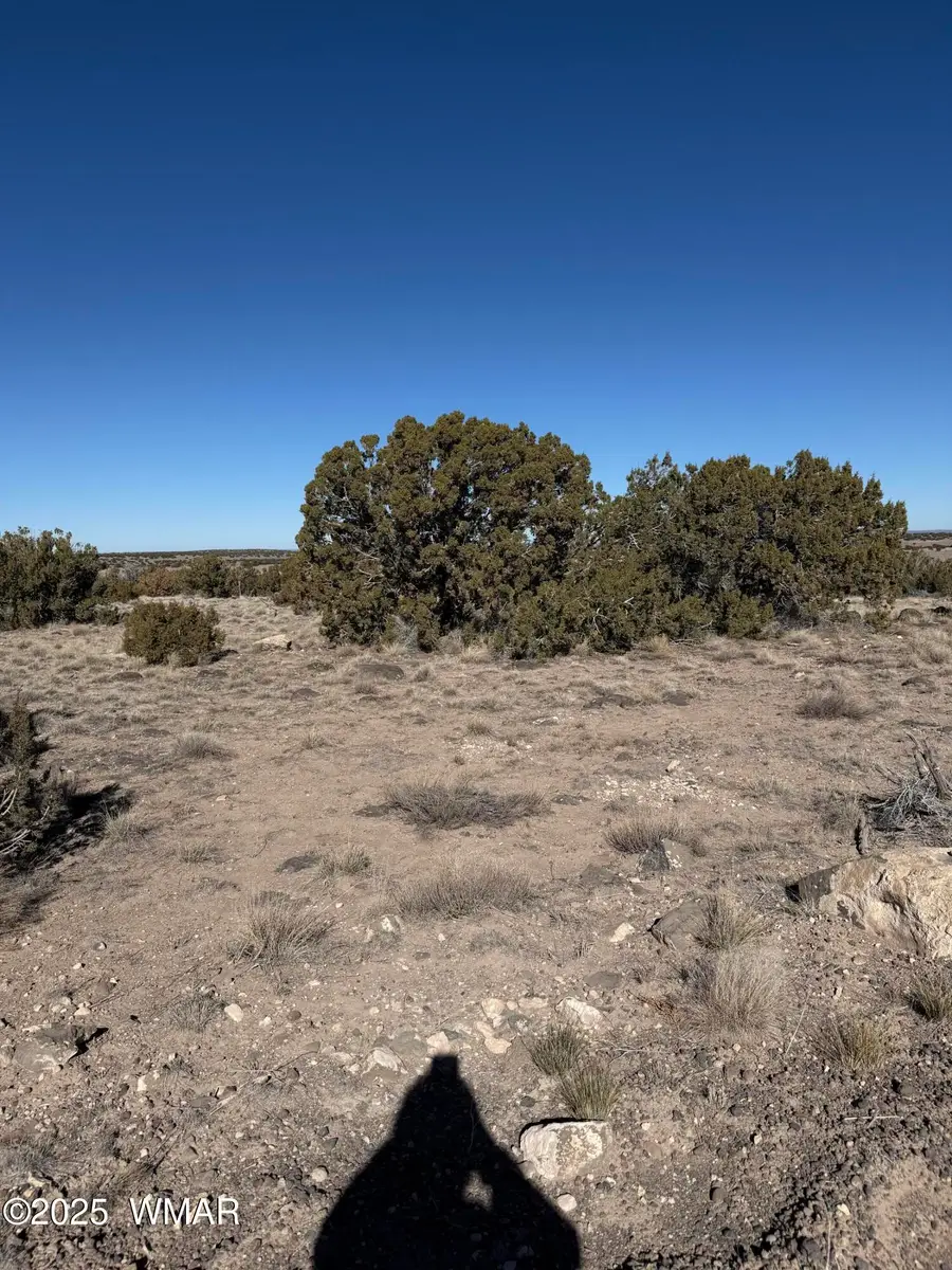 0 Tbd 203-67-011, Saint Johns, AZ 85936 - Image #2