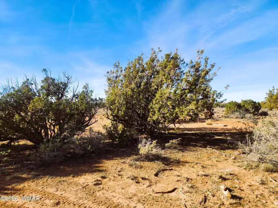 4726 Hay Hollow Road, Snowflake, AZ 85937 - Image #2