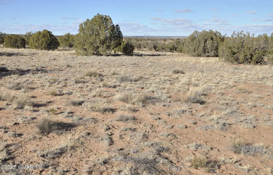 691 Cr 5270, Concho, AZ 85924 - Image #2