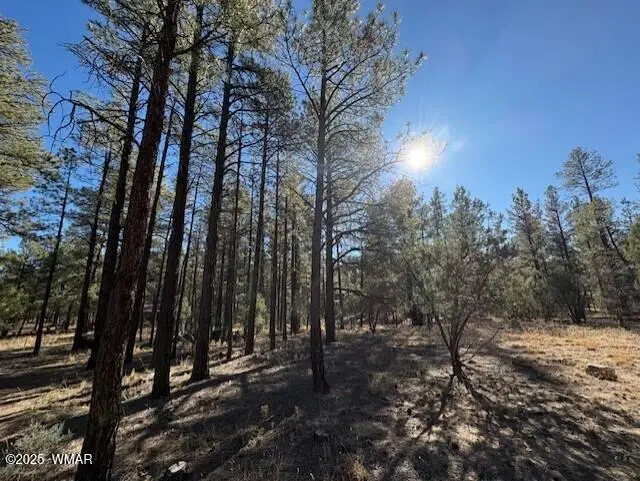 3270 W Black Oak Loop, Show Low, AZ 85901 - Image #2