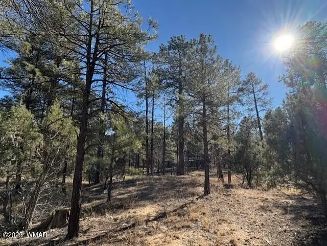 3290 W Black Oak Loop, Show Low, AZ 85901 - Image #2