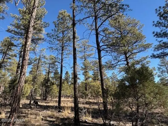 3071 W Black Oak Loop, Show Low, AZ 85901 - Image #3