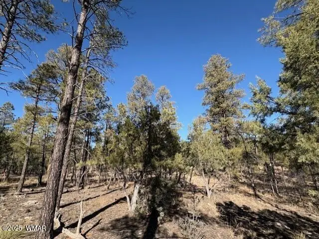 3211 W Black Oak Loop, Show Low, AZ 85901 - Image #2