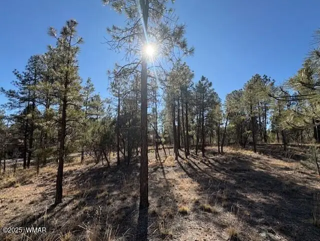 3211 W Black Oak Loop, Show Low, AZ 85901 - Image #3