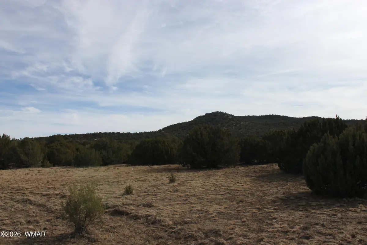 45 County Road 3035, Concho, AZ 85924 - Image #1