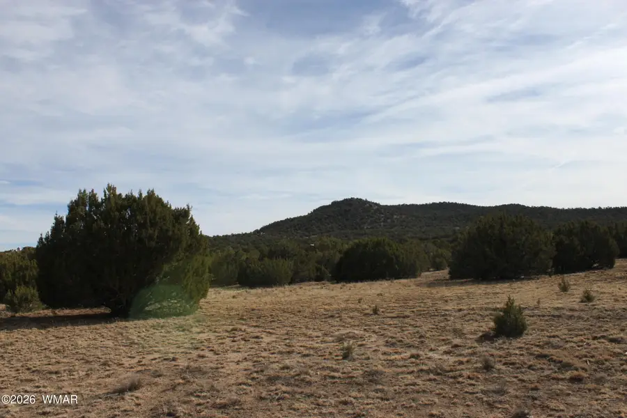 45 County Road 3035, Concho, AZ 85924 - Image #3