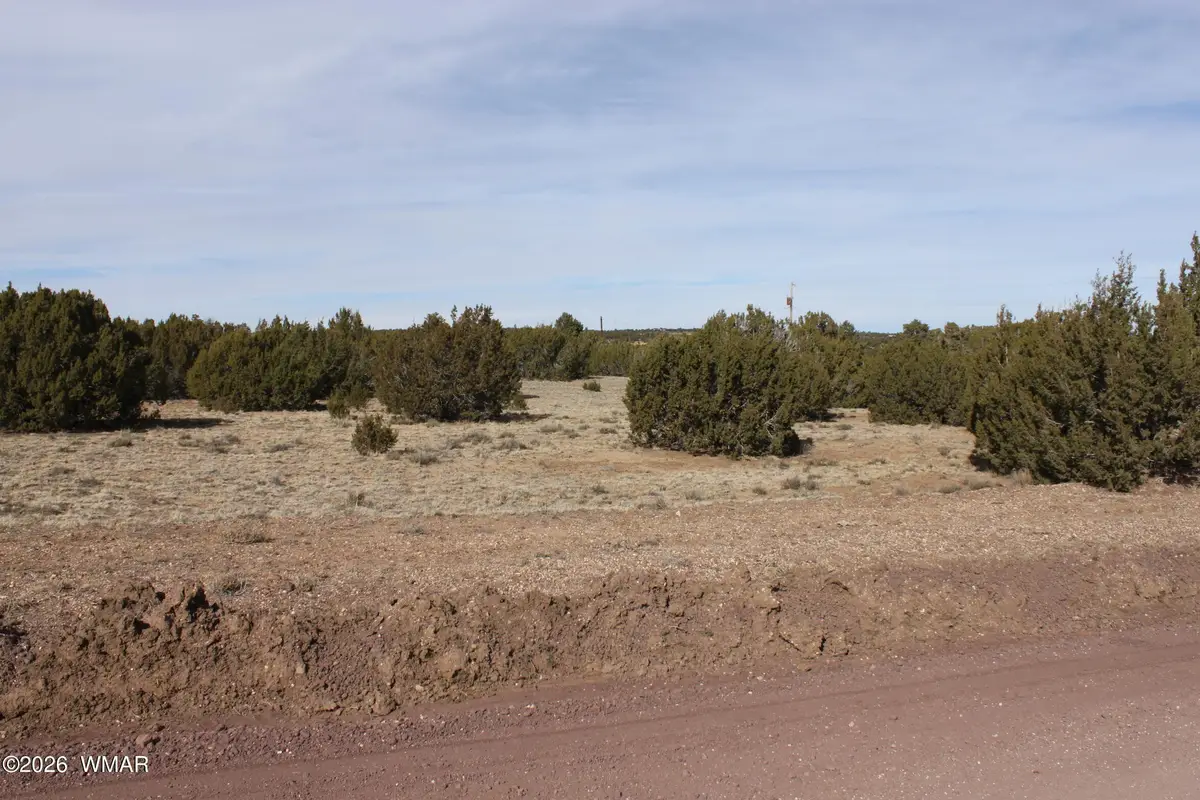 53 County Road 3035, Concho, AZ 85924 - Image #1