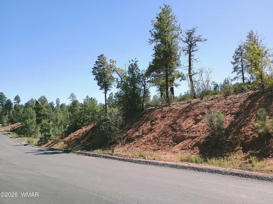 7392 Carina Lane, Lakeside, AZ 85929 - Image #3