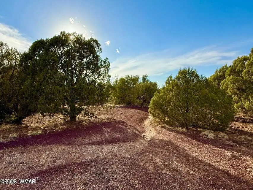 1838 Rocky Bottom Place, Show Low, AZ 85901 - Image #1