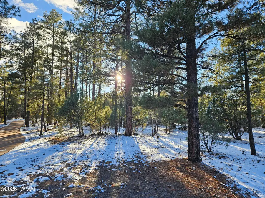 3321 W Mariposa Lane, Show Low, AZ 85901 - Image #2