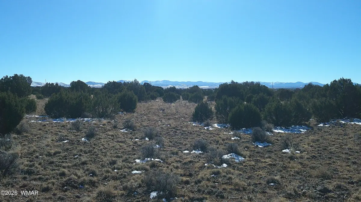 TBD Windsor Valley Ranch Lot 108, Concho, AZ 85924 - Image #1