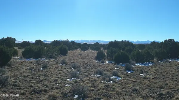 TBD Windsor Valley Ranch Lot 108, Concho, AZ 85924