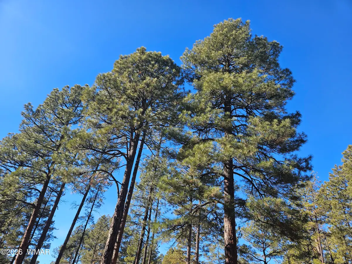 940 N 46th Drive, Show Low, AZ 85901 - Image #1