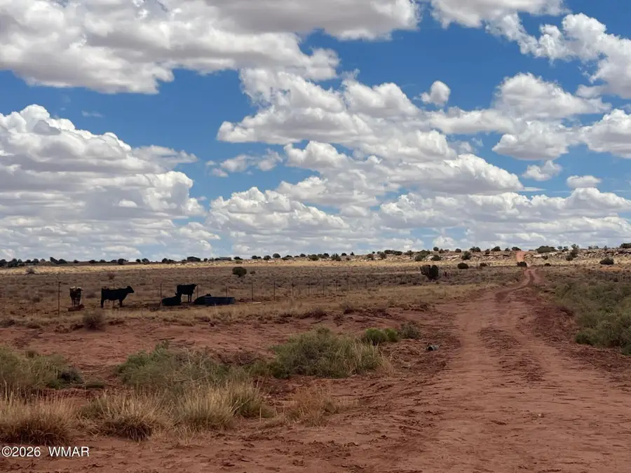 8400 N Terry Trail, Snowflake, AZ 85937 - Image #3