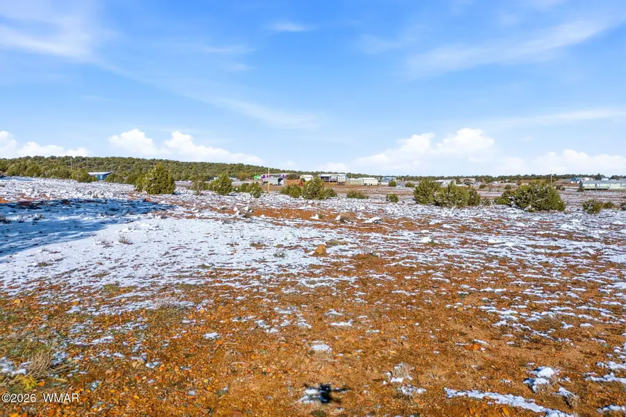 00 Songbird Lane, Show Low, AZ 85901 - Image #3