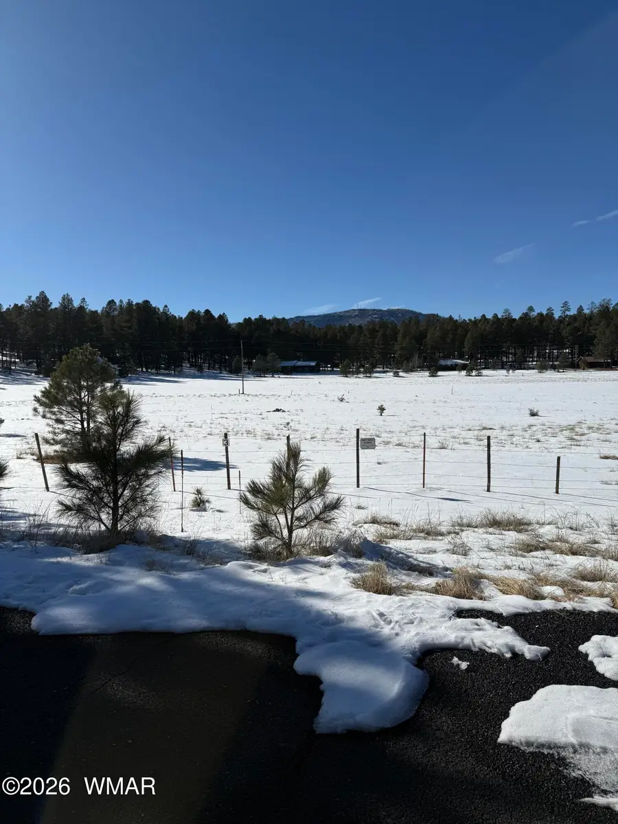 179 Co Rd 2266, Alpine, AZ 85920 - Image #2