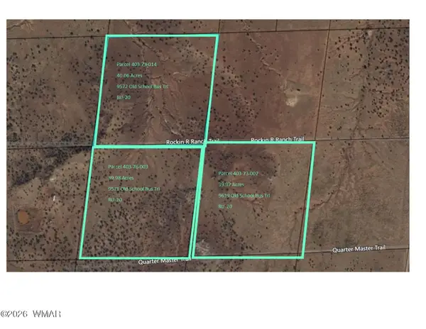 9572 Old School Bus Trail, Snowflake, AZ 85937