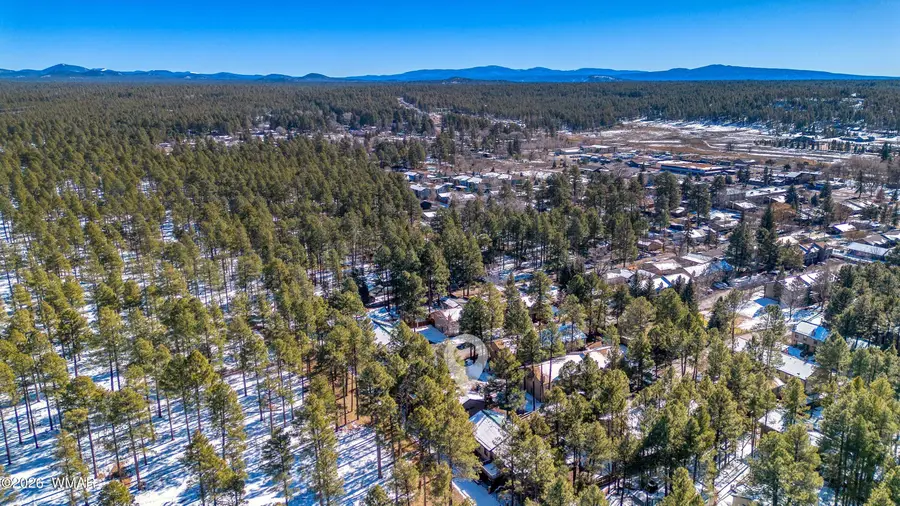 1460 S Adair Drive, Pinetop, AZ 85935 - Image #3