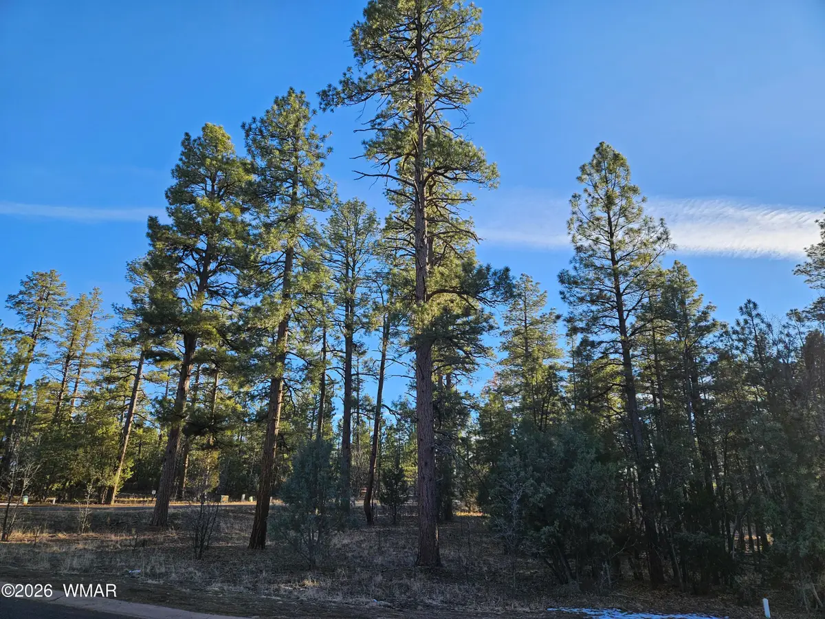 2500 S Pinegrass Road, Show Low, AZ 85901 - Image #1
