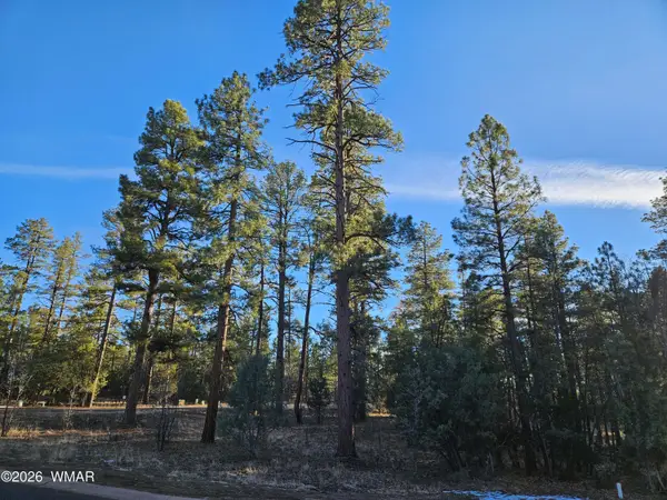 2500 S Pinegrass Road, Show Low, AZ 85901