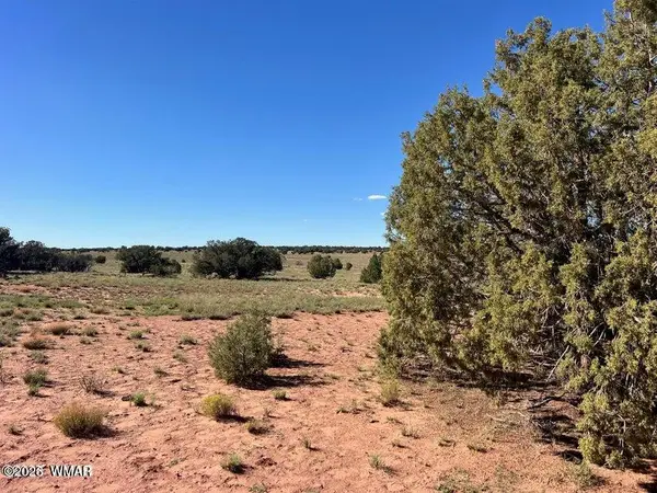 004 N9027, Concho, AZ 85924