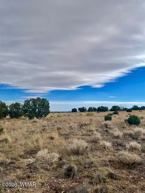 4016 North, Saint Johns, AZ 85936 - Image #3