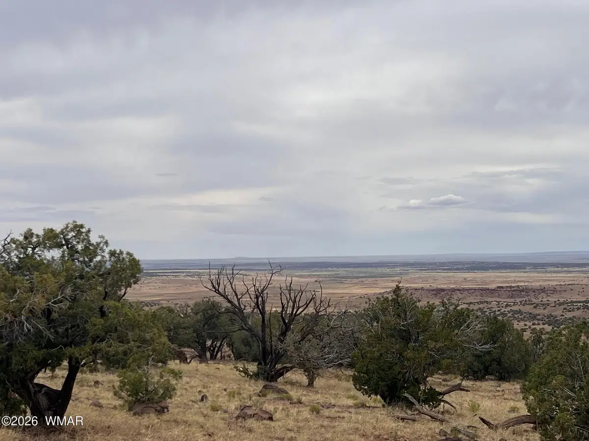 Lot 8 N8526, Concho, AZ 85924 - Image #1