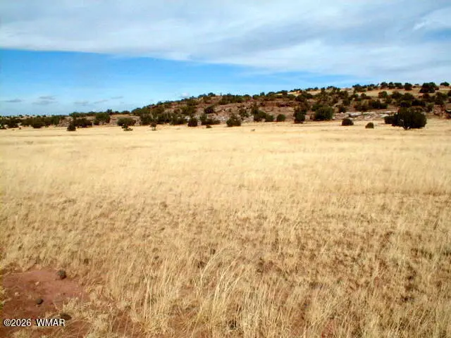 Lot 8 N8526, Concho, AZ 85924 - Image #3