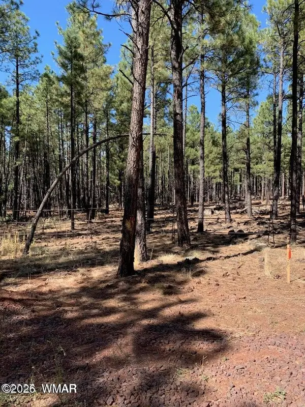 tbd-2 Dynamite, Lakeside, AZ 85929