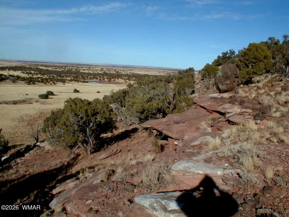 LOT 13 N8526, Concho, AZ 85924 - Image #1
